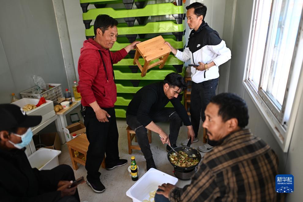 狮子机游戏下载